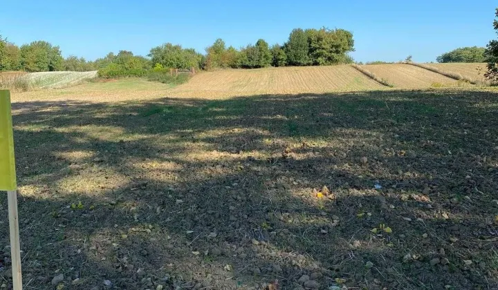 Działka rolno-budowlana Sadurki