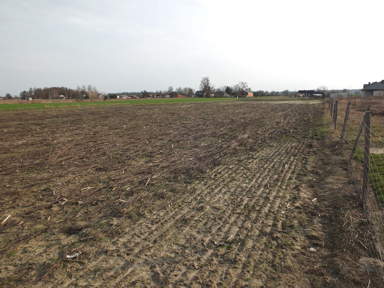 Działka budowlana Janów Ruszki. Zdjęcie 5