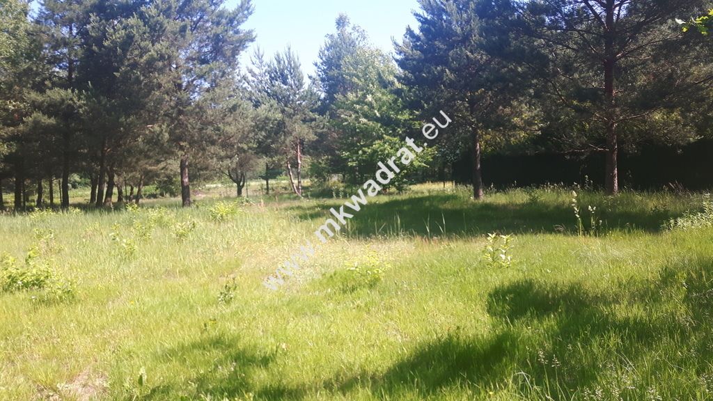 Działka budowlana Kanie. Zdjęcie 3