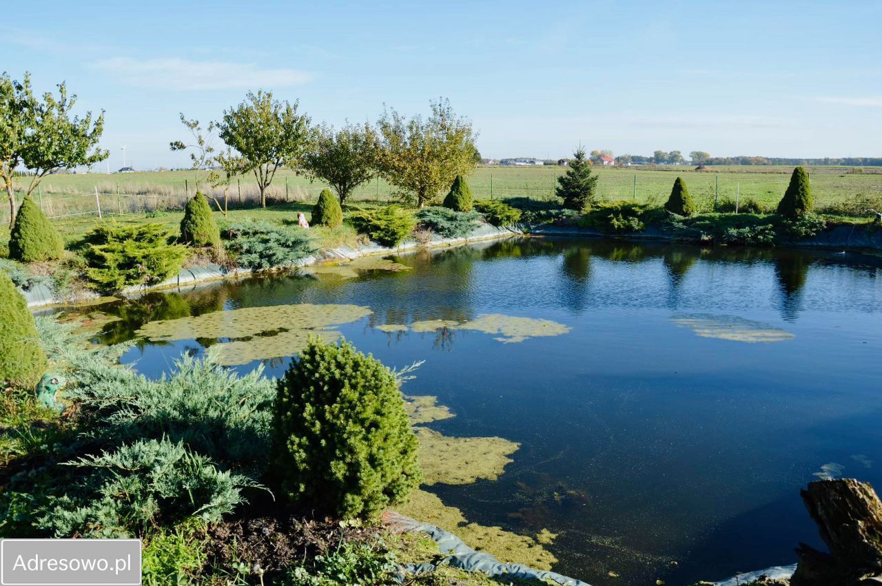 dom wolnostojący, 8 pokoi Romanowo. Zdjęcie 4