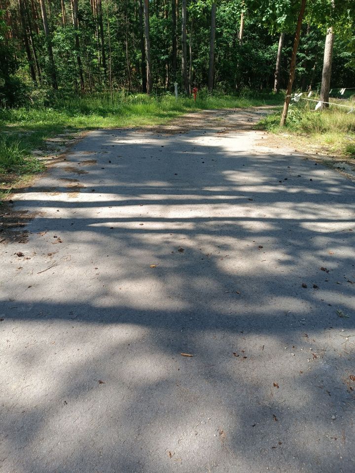 Działka leśna Wola Morawicka Podemłynie, ul. Jasna. Zdjęcie 4