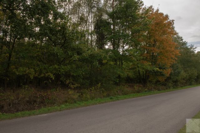 Działka budowlana Majdan Sieniawski. Zdjęcie 3