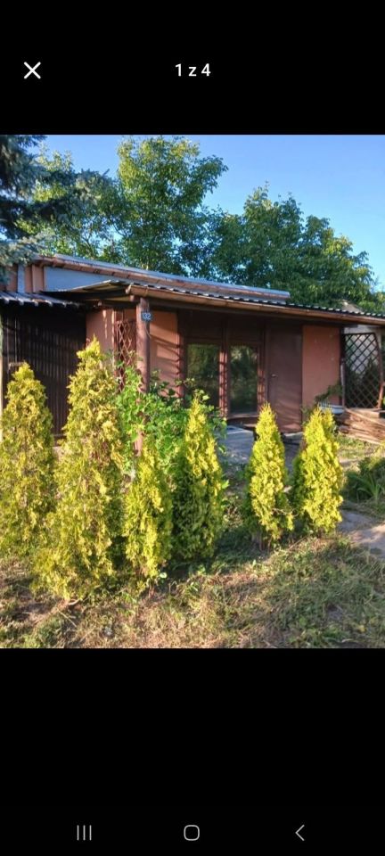 Działka rod Ostrów Wielkopolski, ul. Przeskok. Zdjęcie 8