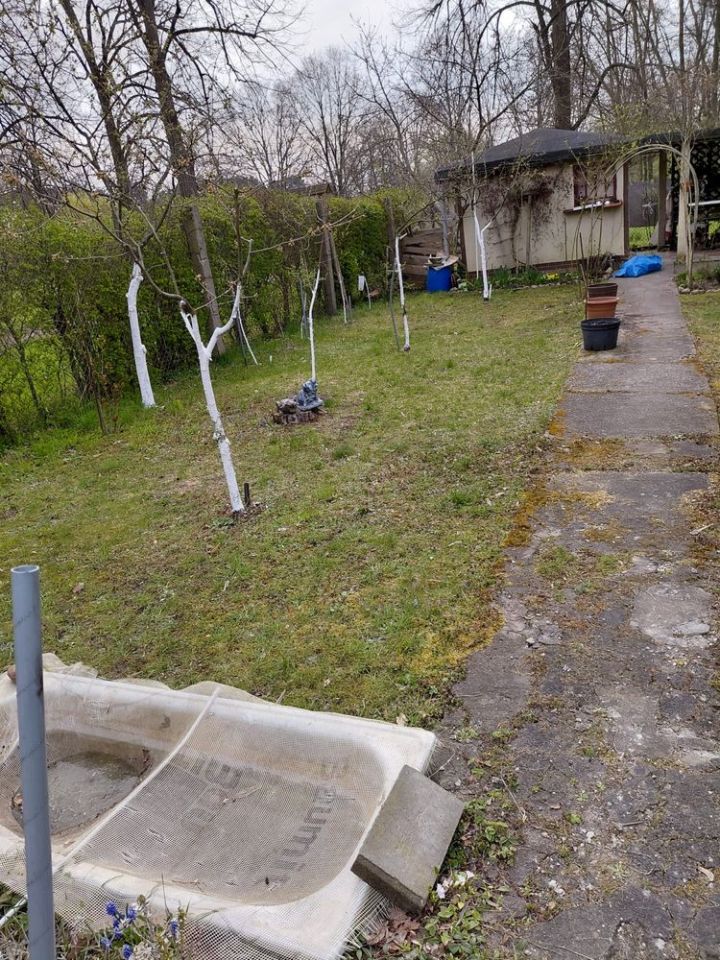 Działka rod Wrocław Psie Pole, ul. Grudziądzka. Zdjęcie 1