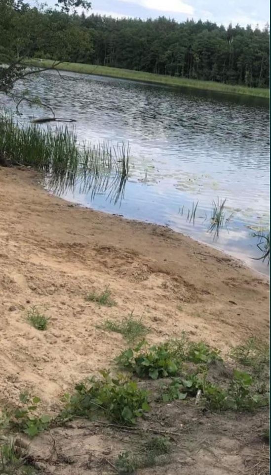 Działka rolno-budowlana Wiele, Brak. Zdjęcie 8