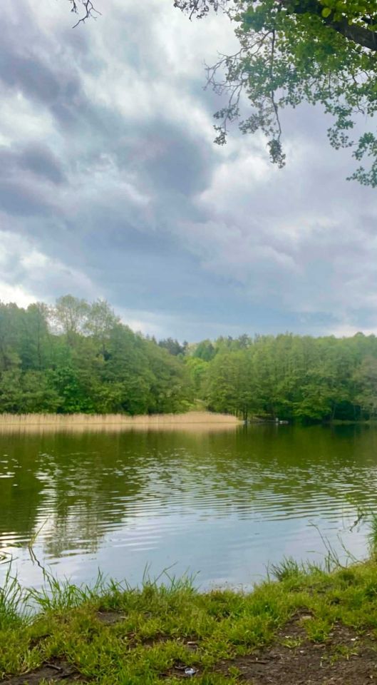 Działka budowlana Kozia Góra. Zdjęcie 4