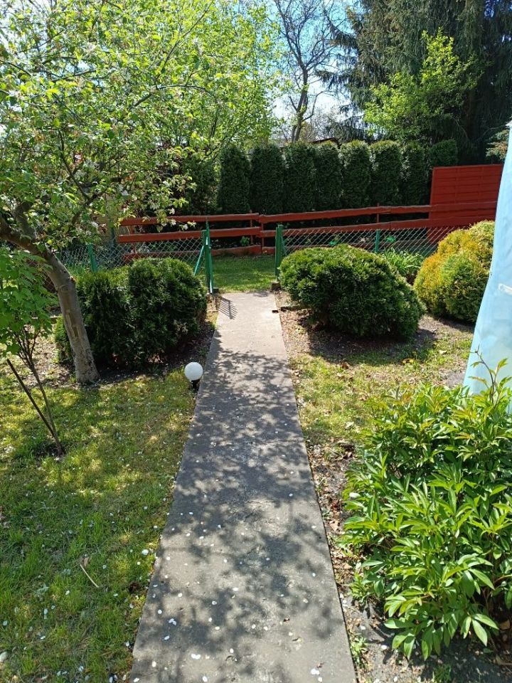 Działka rod Tomaszów Mazowiecki, ul. Krzywa. Zdjęcie 8