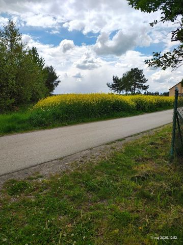 Działka budowlana Wólka Bałtowska. Zdjęcie 1