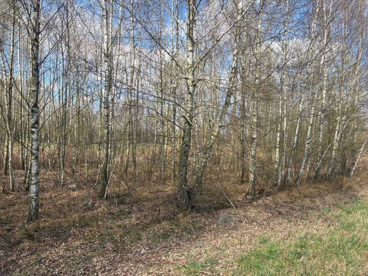 Działka rolna Komory, bez nazwy. Zdjęcie 4