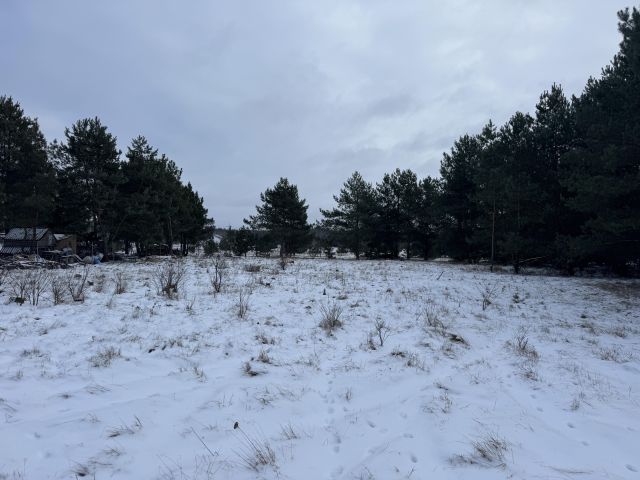 Działka budowlana Szkocja, ul. Różana. Zdjęcie 1