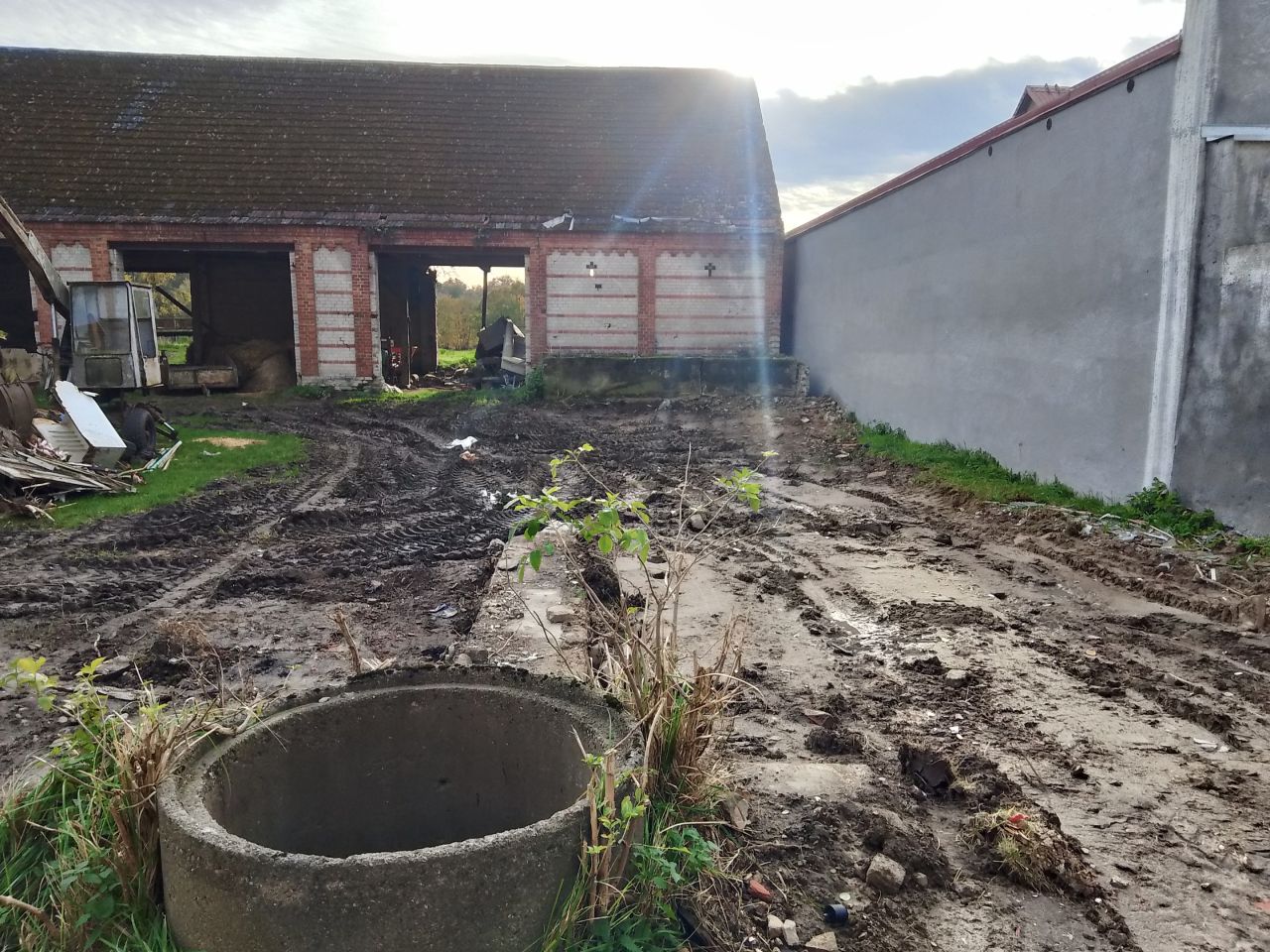 gospodarstwo, 7 pokoi Nowa Dąbrowa. Zdjęcie 6