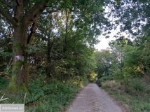 Działka rolna Chrosna. Zdjęcie 1