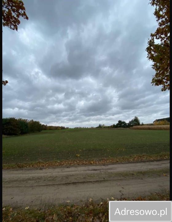 Działka rolna Jaworze