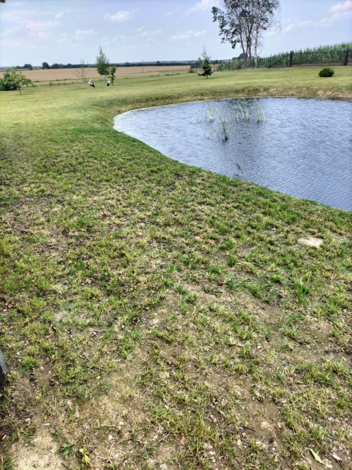 Działka rolna Żarnowo. Zdjęcie 7