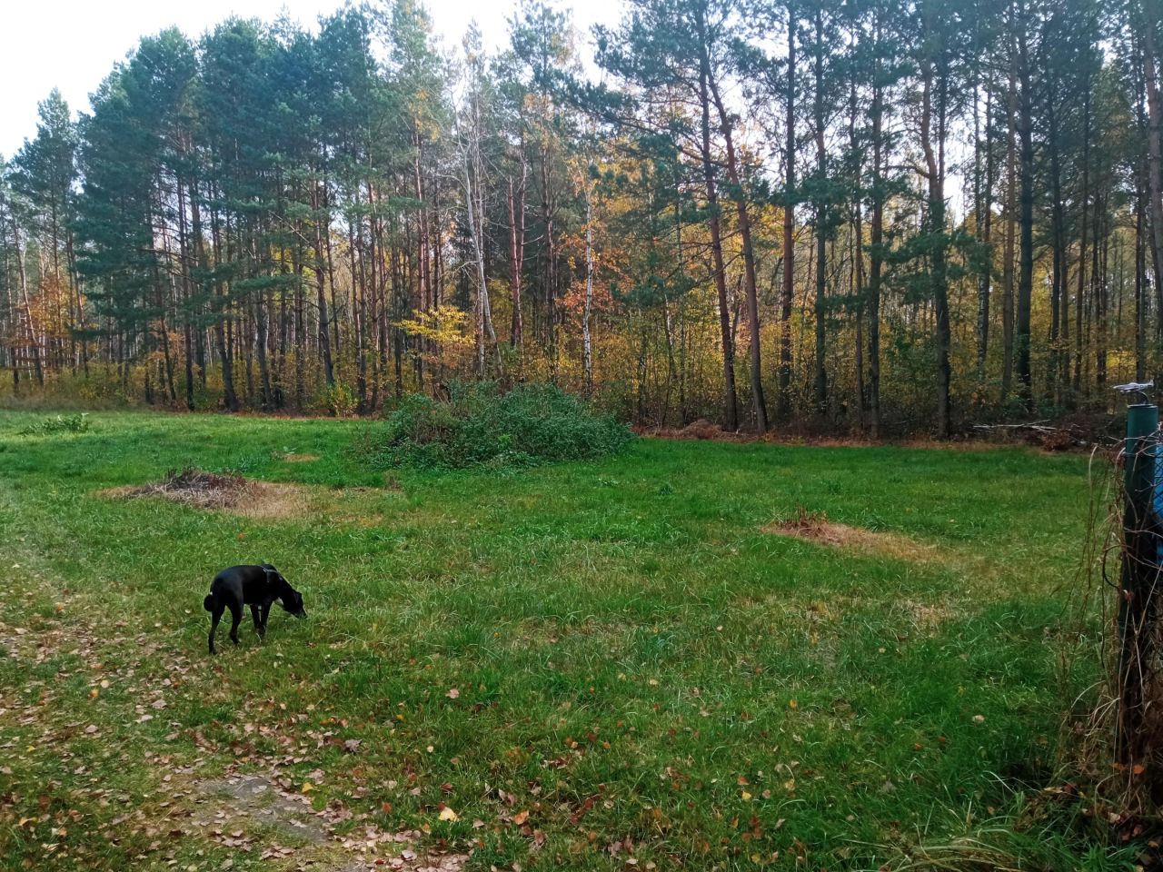 Działka rekreacyjna Helenów. Zdjęcie 1