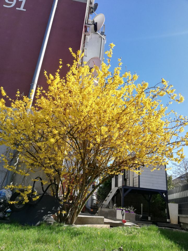 Mieszkanie 3-pokojowe Szczecin Gumieńce, ul. Polskich Marynarzy. Zdjęcie 35
