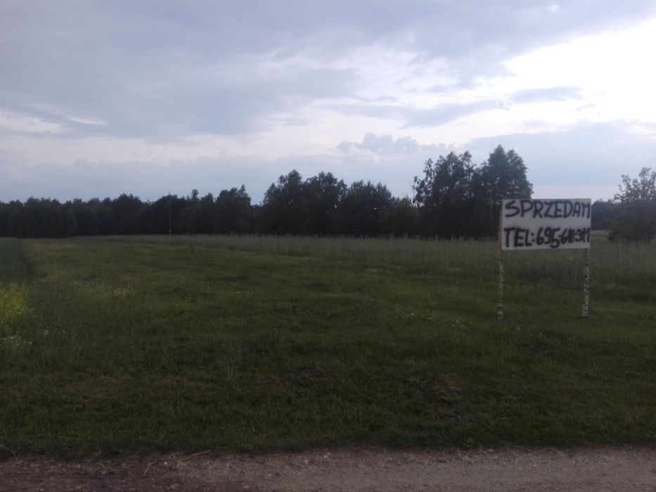 Działka rolno-budowlana Antoniów. Zdjęcie 5