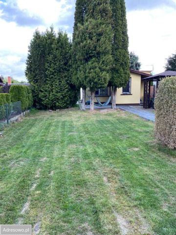 Działka rekreacyjna Poznań Sypniewo, ul. Sypniewo. Zdjęcie 1