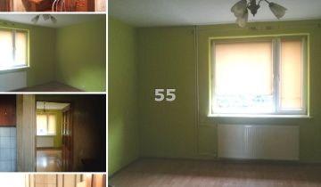 bliźniak, 2 pokoje Koluszki