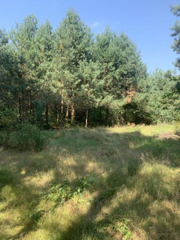 Działka budowlana Okuninka. Zdjęcie 1