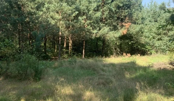 Działka budowlana Okuninka