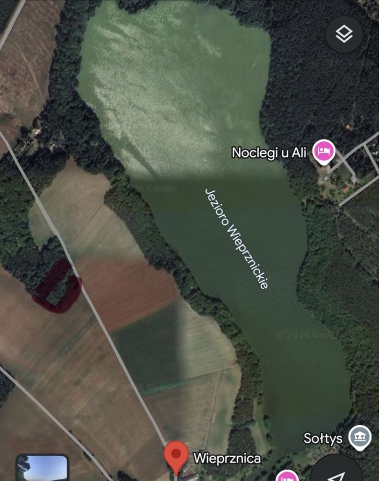 Działka leśna Kościerzyna. Zdjęcie 2