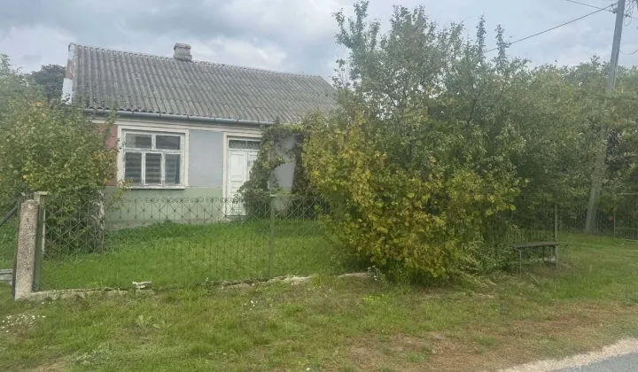 Działka siedliskowa Kopytów