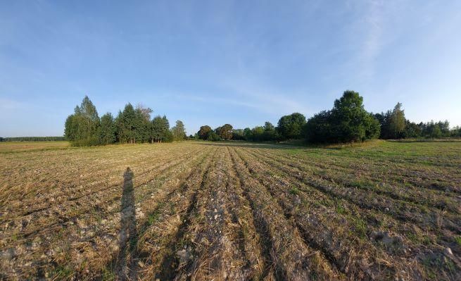 Działka budowlana Polinów. Zdjęcie 4