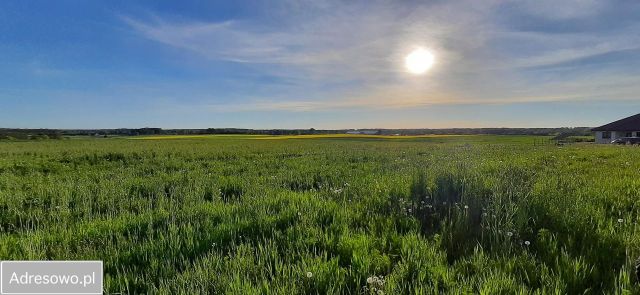 Działka budowlana Szałkowo. Zdjęcie 1