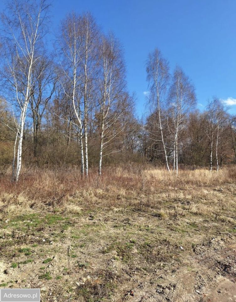 Działka budowlana Żłobizna. Zdjęcie 2
