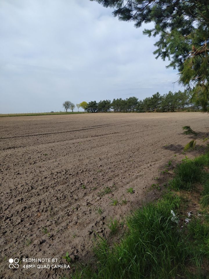 Działka rolno-budowlana Rataje. Zdjęcie 4