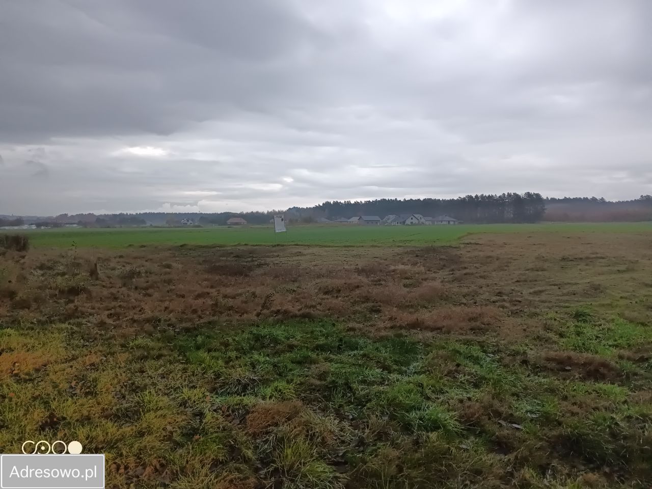 Działka budowlana Chwalęcice, ul. Leśna. Zdjęcie 2