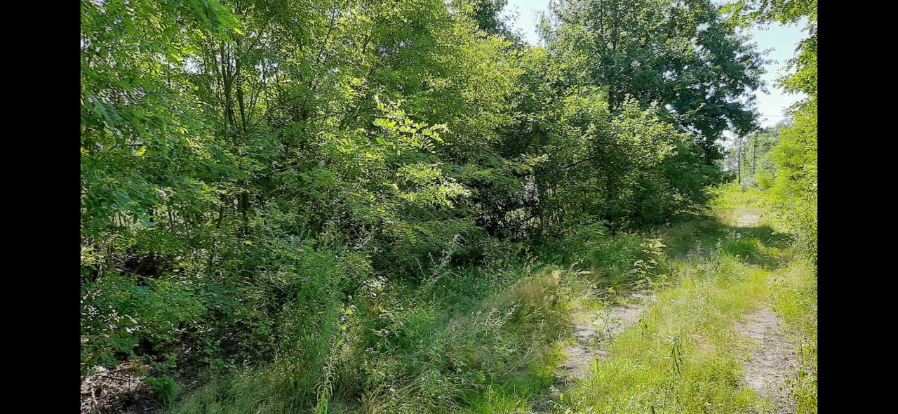 Działka budowlana Dąbrowica. Zdjęcie 3