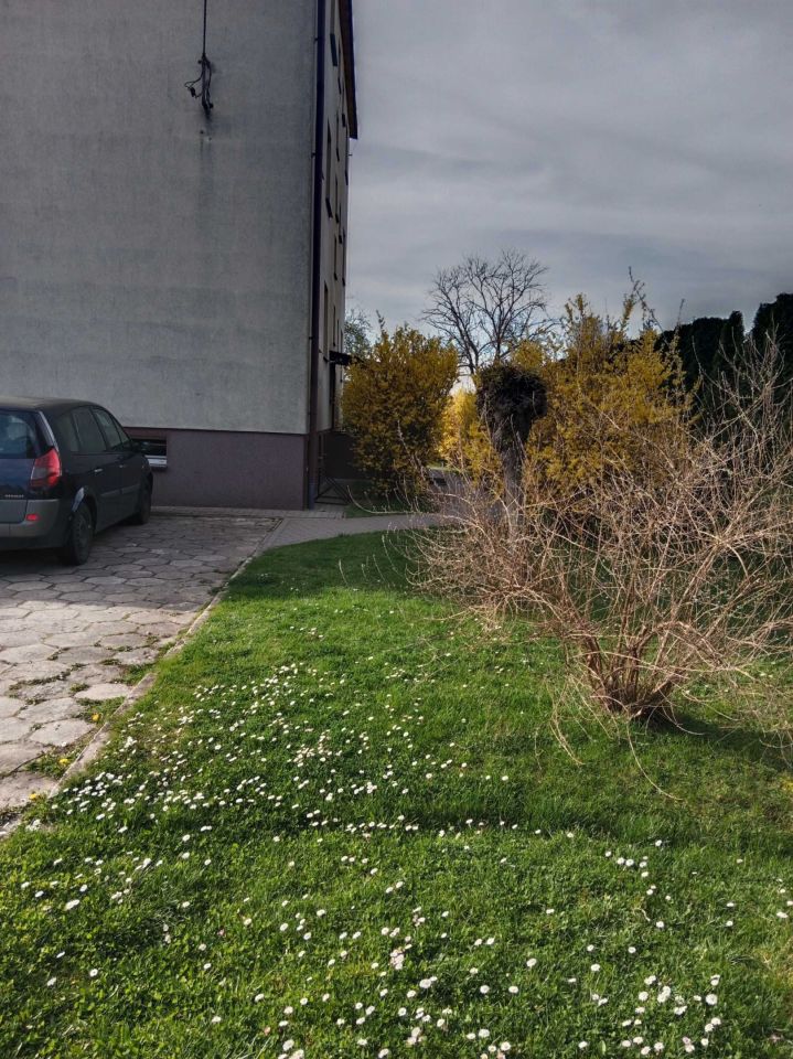 Mieszkanie 1-pokojowe Niedźwiada. Zdjęcie 4