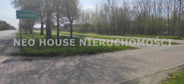 Działka budowlana Suchocin, ul. Rybacka. Zdjęcie 9