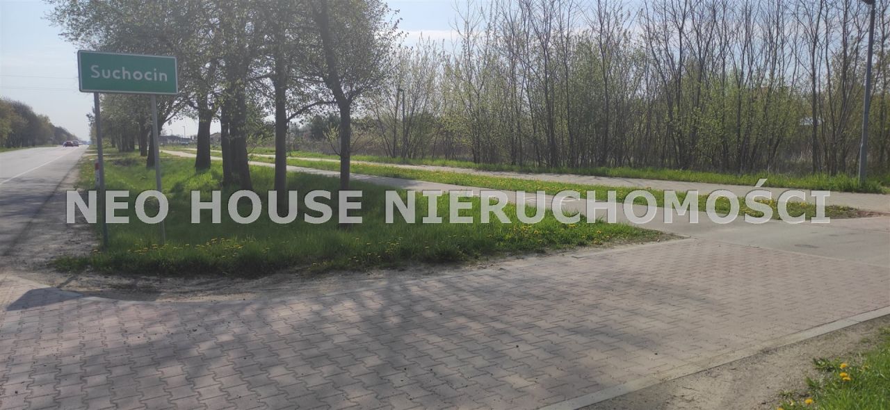 Działka budowlana Suchocin, ul. Rybacka. Zdjęcie 9