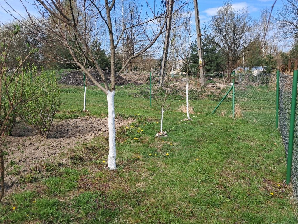 Działka rod Krasnystaw. Zdjęcie 7