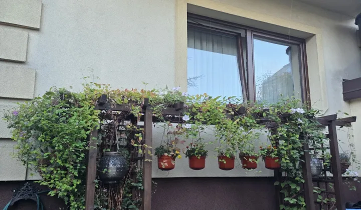 bliźniak, 6 pokoi Tomaszów Mazowiecki, ul. Polna