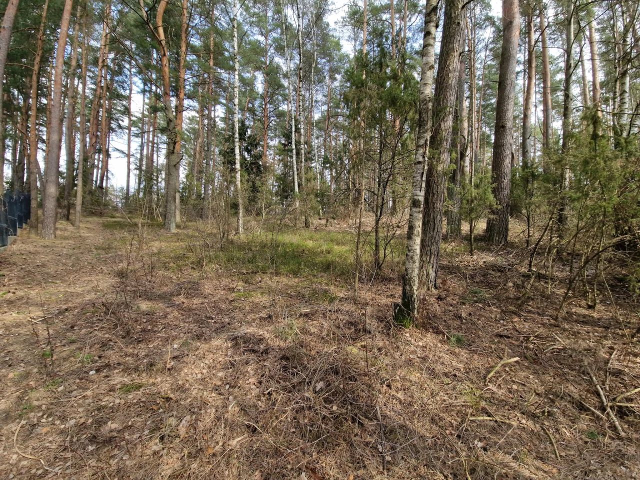 Działka budowlana Augustów Wójtowskie Włóki, ul. Lasanek. Zdjęcie 6