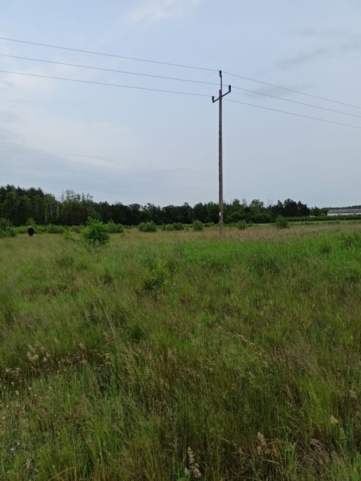 Działka rolno-budowlana Słomin. Zdjęcie 3