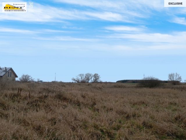 Działka inwestycyjna Wąwelnica. Zdjęcie 3