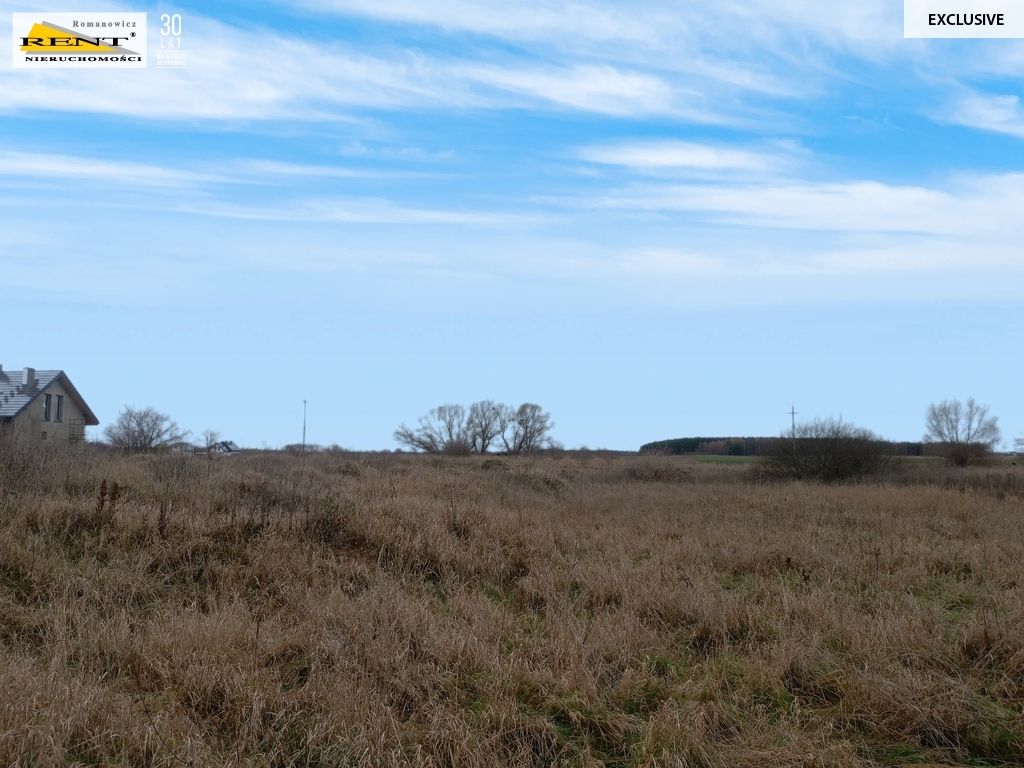 Działka inwestycyjna Wąwelnica. Zdjęcie 3