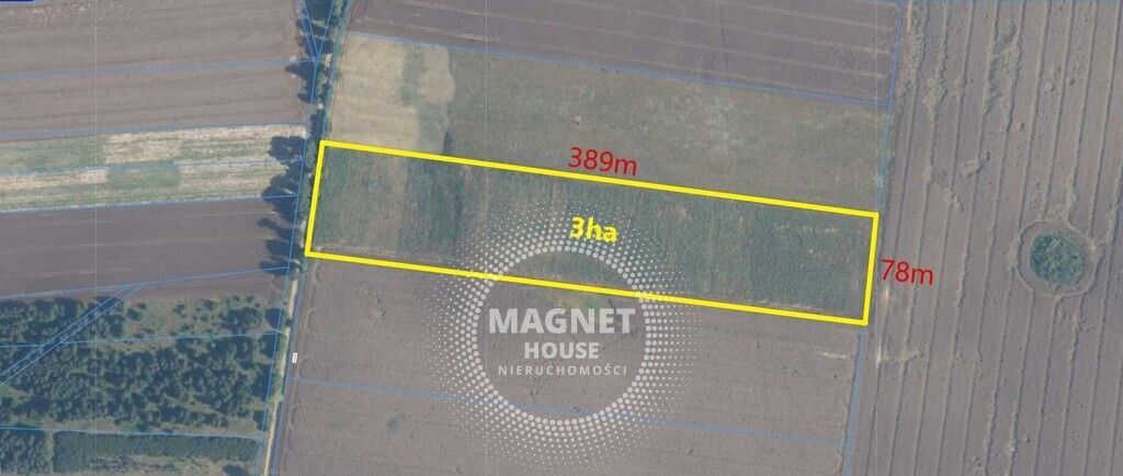 Działka rolna Rutwica. Zdjęcie 2