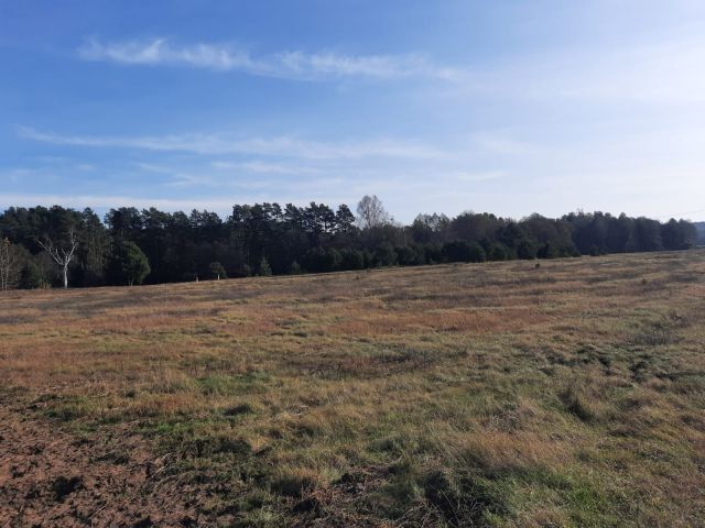 Działka inwestycyjna Luboń. Zdjęcie 1