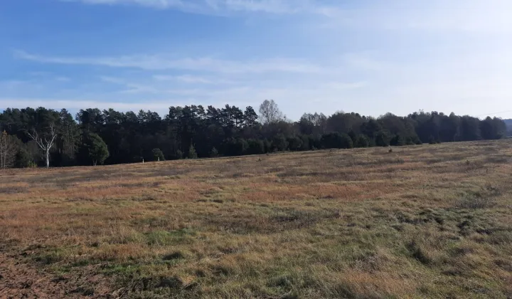 Działka inwestycyjna Luboń