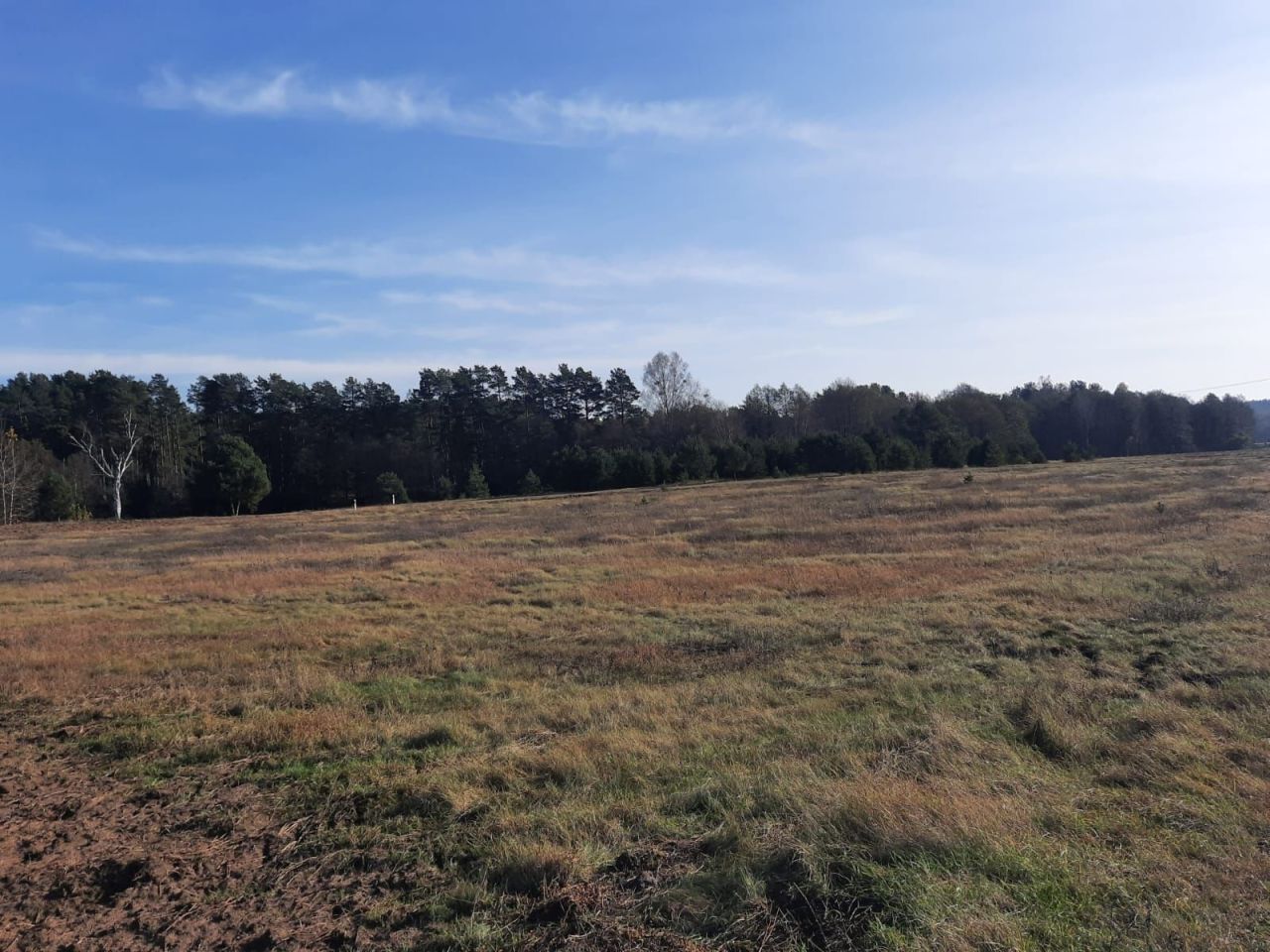 Działka inwestycyjna Luboń