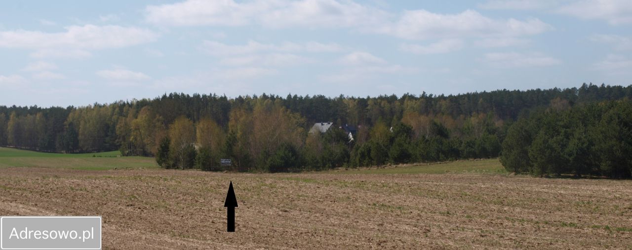 Działka rekreacyjna Lipy. Zdjęcie 3