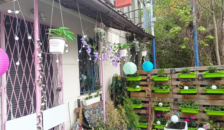 Lokal Zielonka, ul. Prymasa Stefana Wyszyńskiego