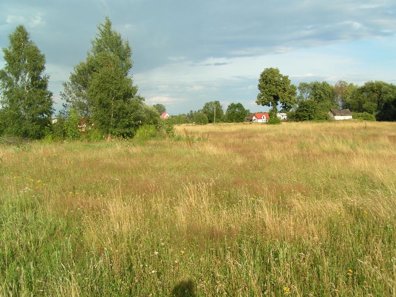 Działka rolno-budowlana Czeczotki, ul. Cicha. Zdjęcie 7