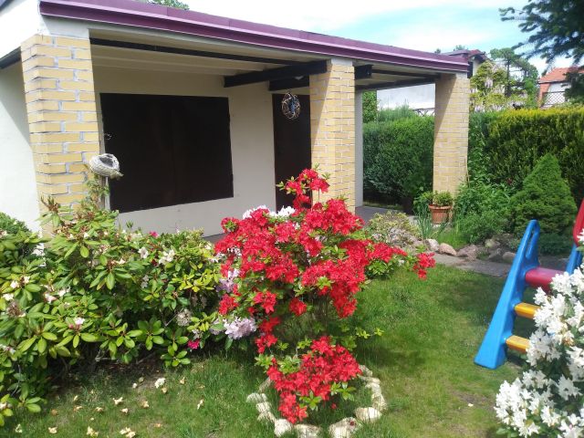 Działka rekreacyjna Grzybiany. Zdjęcie 1